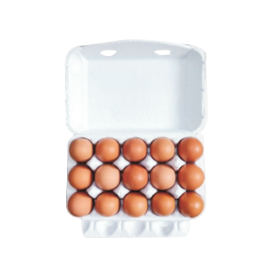 fifteen egg boxes