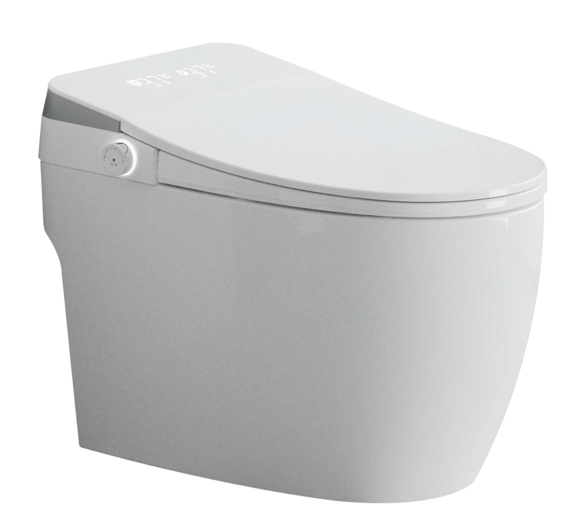 Intelligent smart toilet H-5003