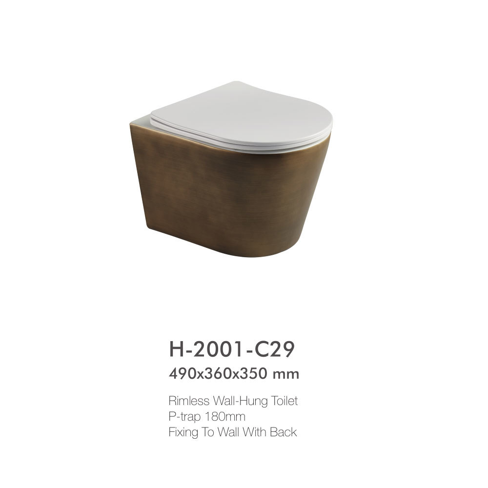 special wall-hung toilet H-2001-C29