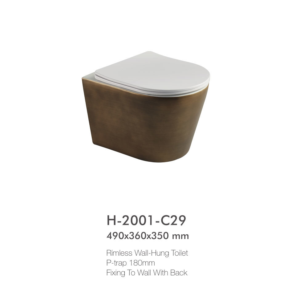 special wall-hung toilet H-2001-C29 products