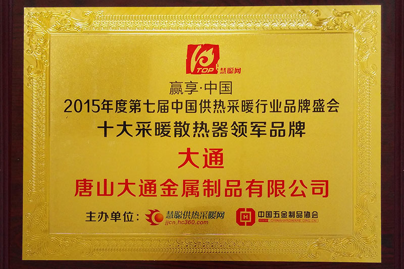 十大领军品牌2015