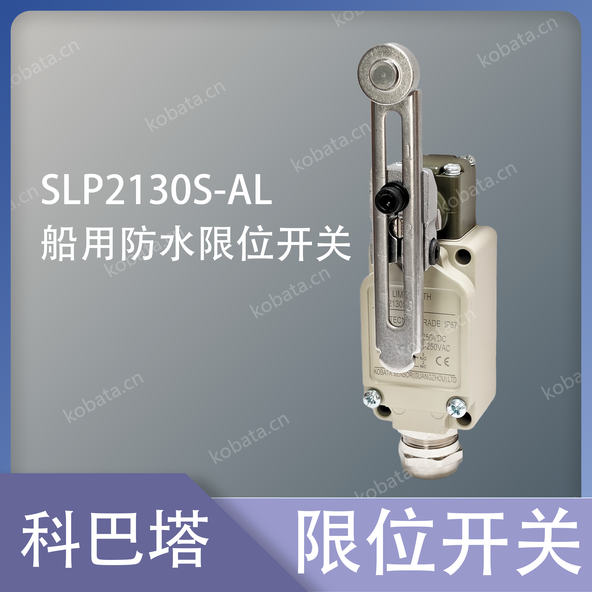 SLP2130S-AL 船用防水限位开关行程开关-广州舟江机电有限公司_液