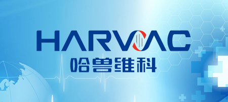 Harbin Weike Biotechnology Co., Ltd. successfully passed the three-system re-certification on-site assessment of quality, environment and occupational health and safety management