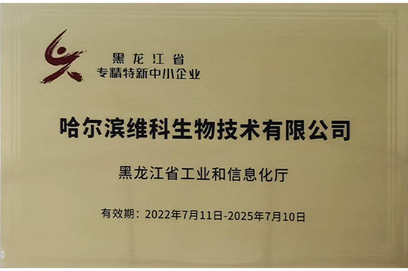 2022-2025黑龍江省專精特新中小企業(yè)