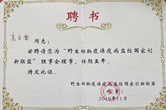 聘 书 聘 书
