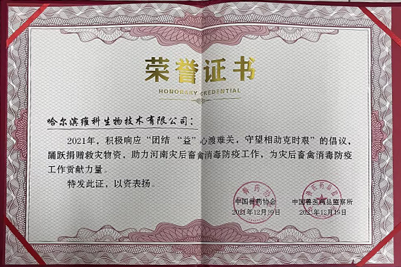 荣誉证书 荣誉证书