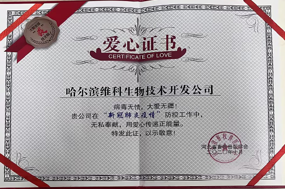 爱心证书 爱心证书