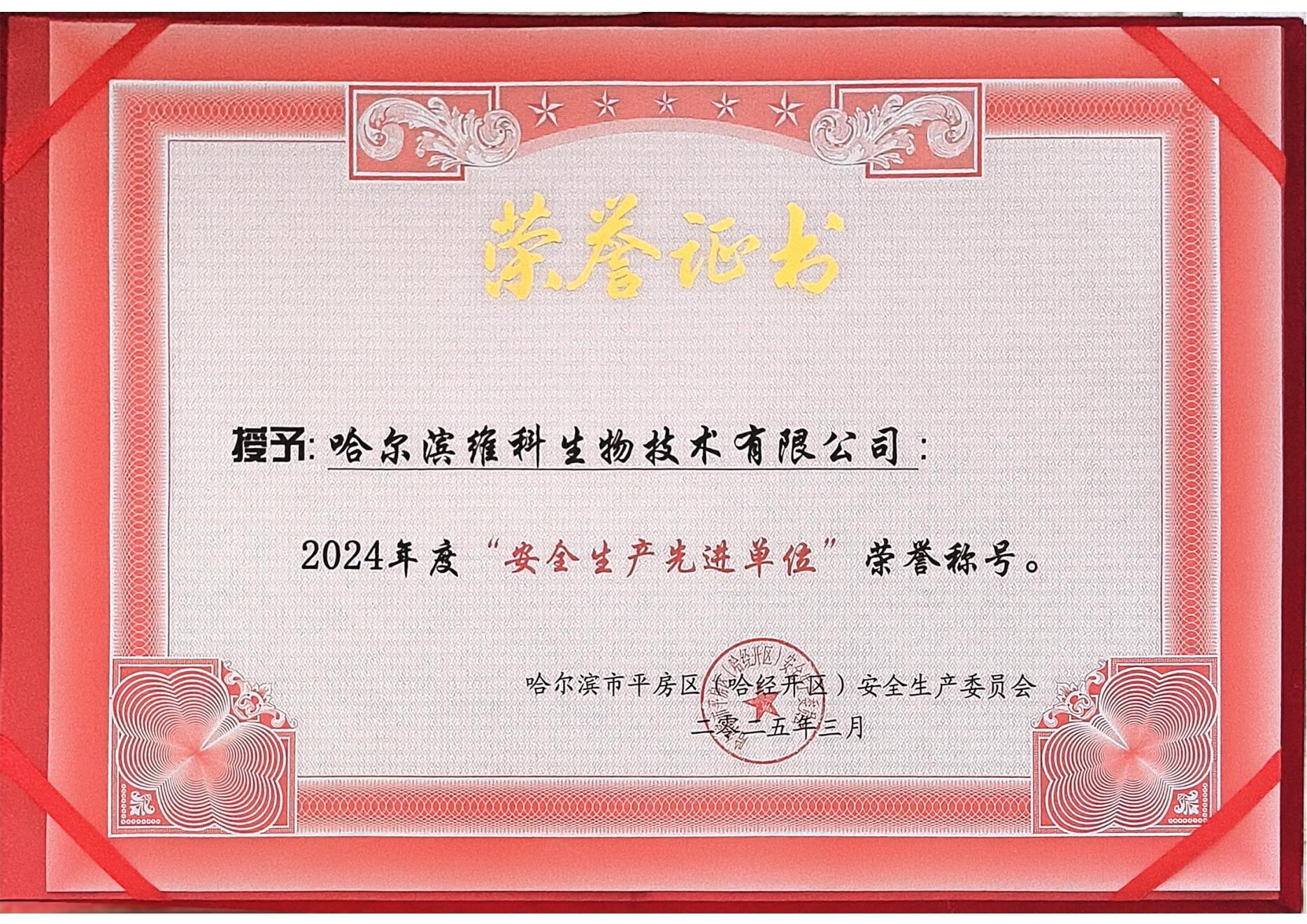 2024年度“安金生产先进单位” 2024年度“安金生产先进单位”