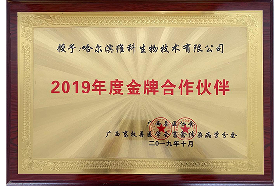 2019年度金牌合作伙伴