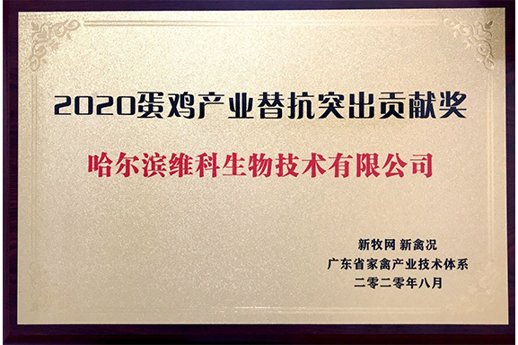 2020蛋雞產(chǎn)業(yè)抗替突出貢獻(xiàn)獎(jiǎng)