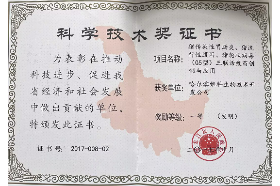 科学技术奖证书 科学技术奖证书