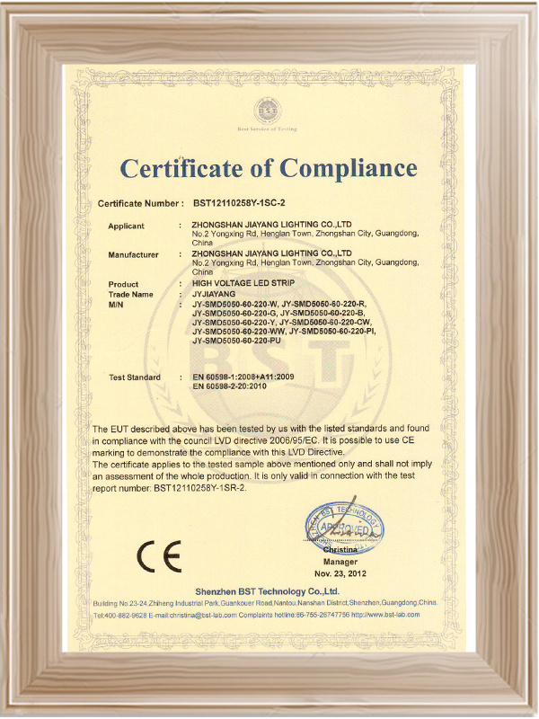 佳阳高压灯带CE证书 (2)