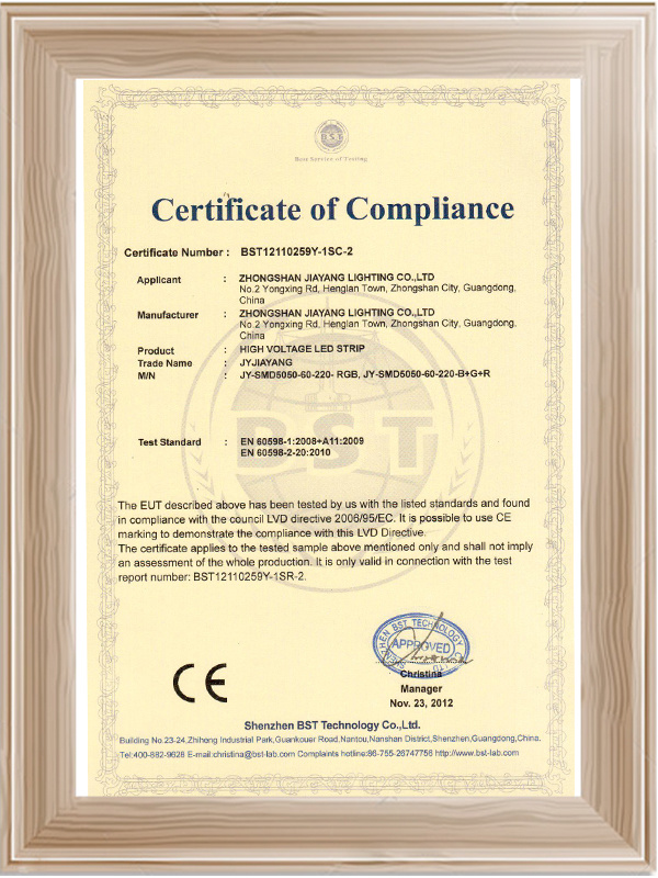佳阳高压灯带CE证书 (3)