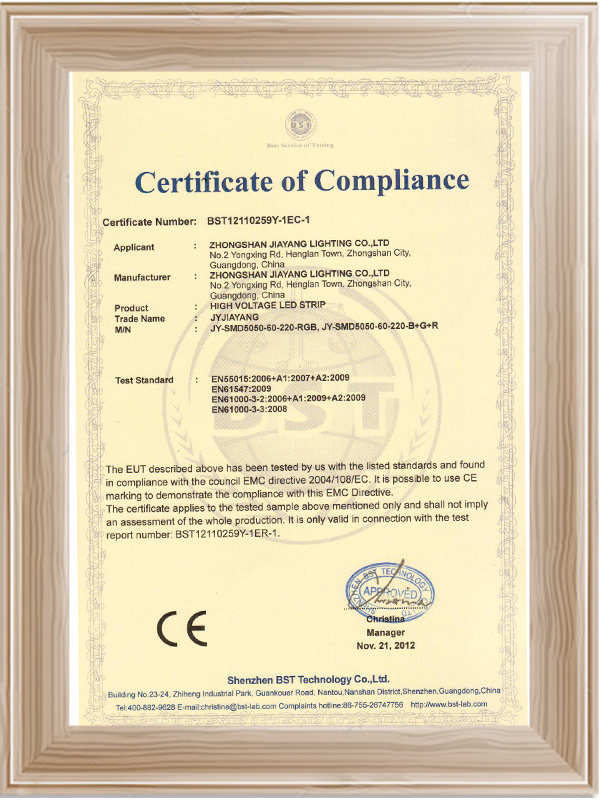 佳阳高压灯带CE证书 (1)