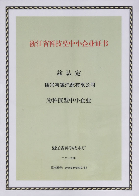 Zhejiang Province Science and Technology Small and Medium Enterprise Certificate