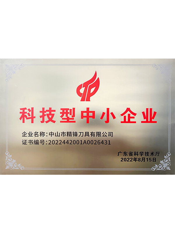 科技型中小企業(yè)