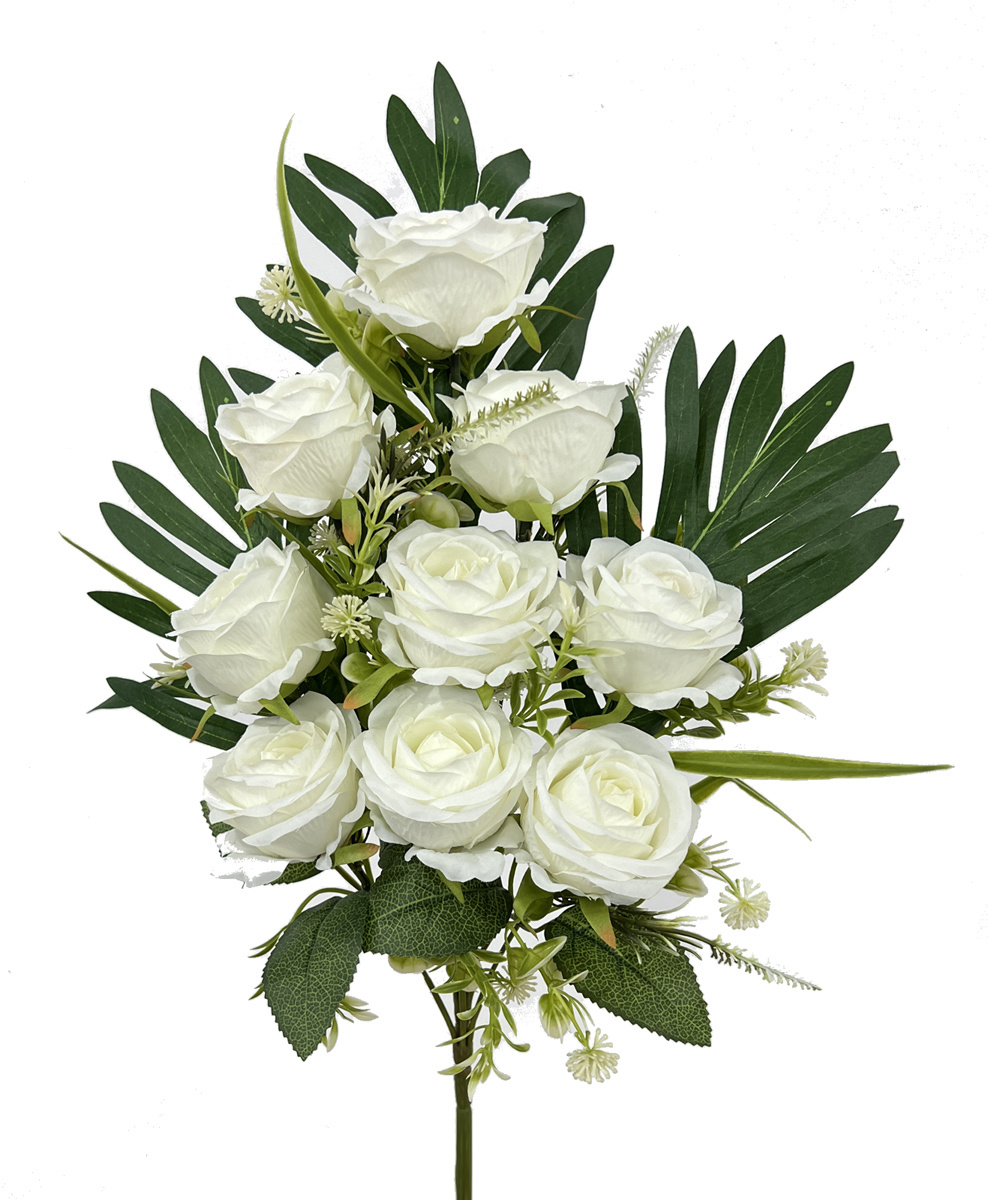 50cm rose bush