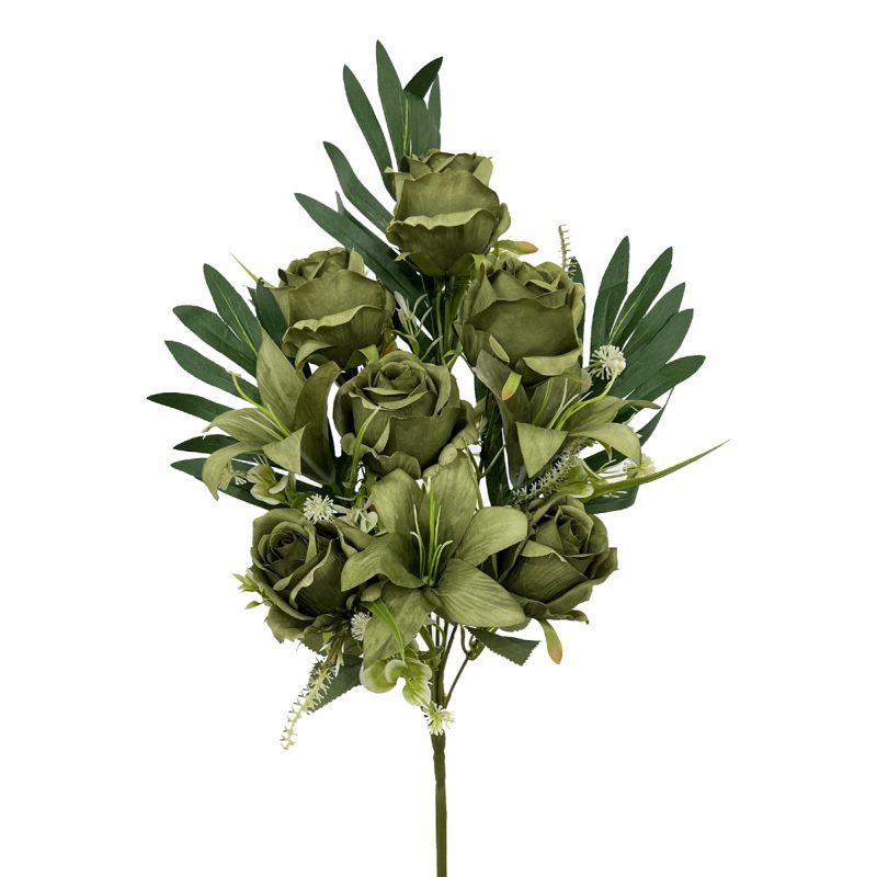 50cm rose bush