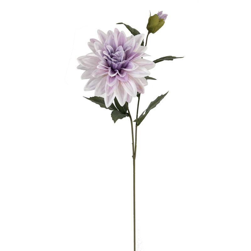66cm dahlia stem