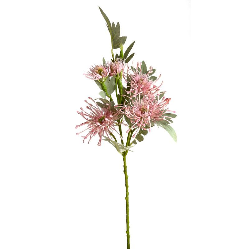 65cm Leucospermum stem