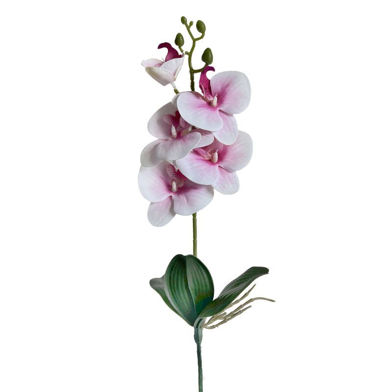 44cm orchid stem