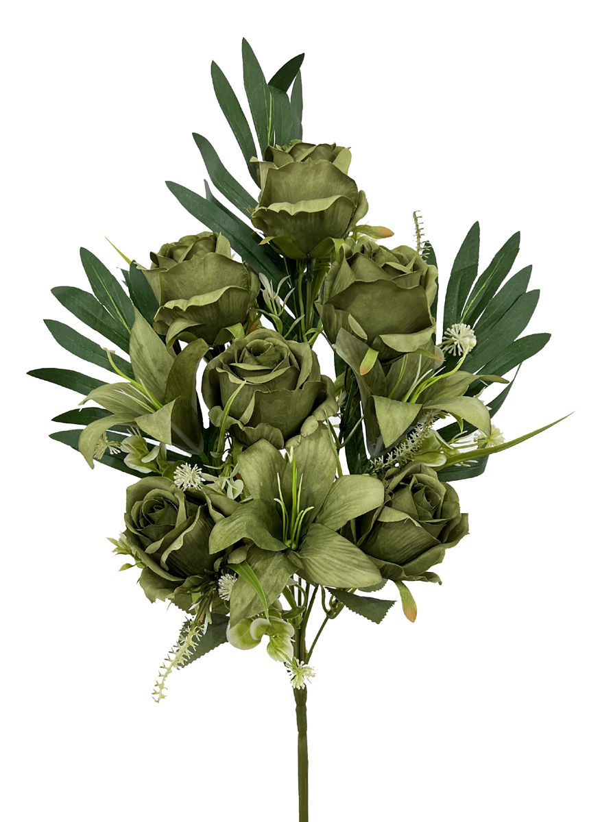 50cm rose bush