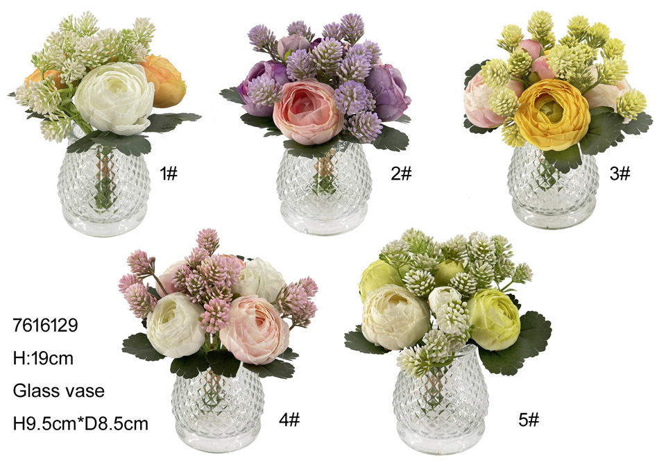 19cm ranunculus in glass vase