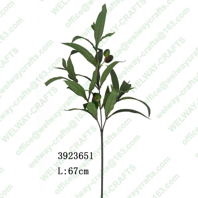 67cm olive stem