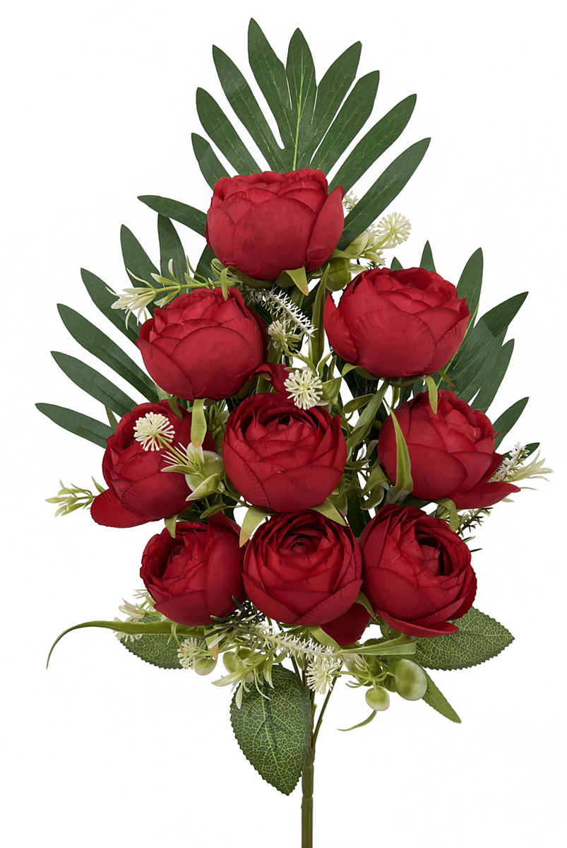 50cm rose bush