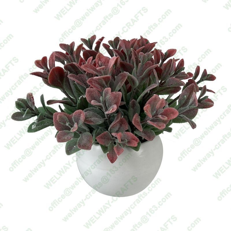 Green pot H:10cm pot size:4.5*6.5cm