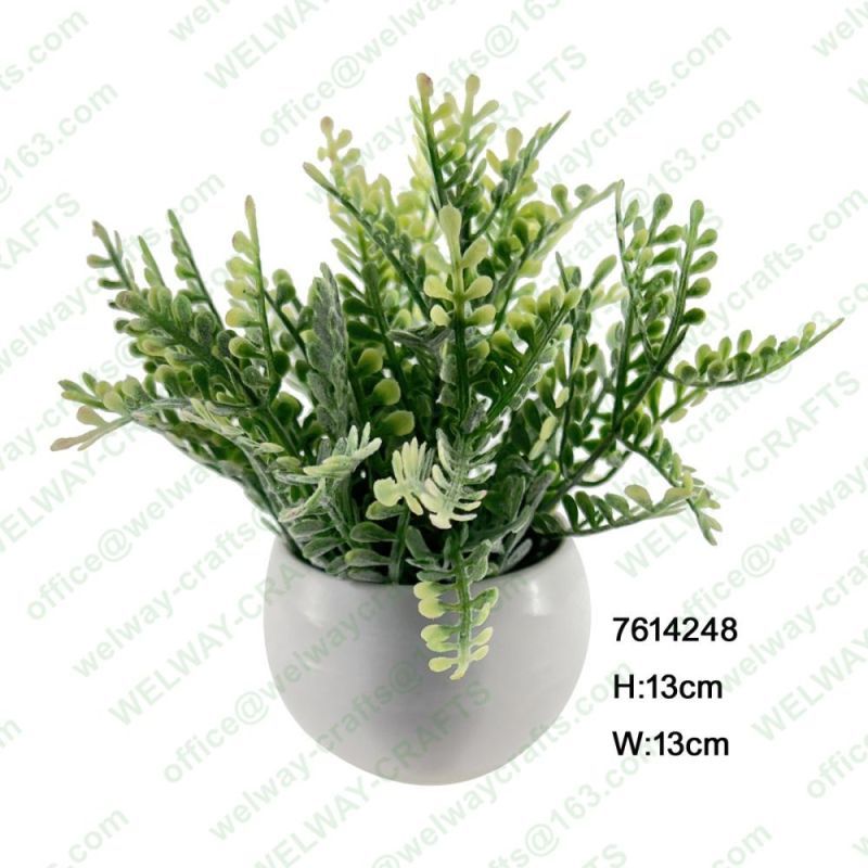 13*13cm greenery pot