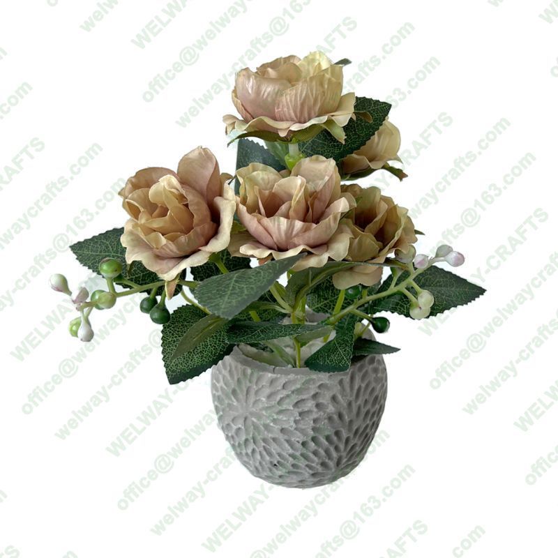 18cm multifloral with cement pot