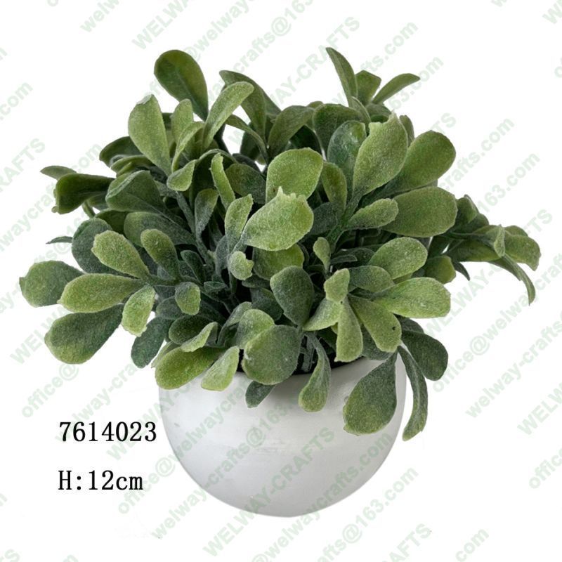 Green pot H:12cm pot size:4.5*6.5cm