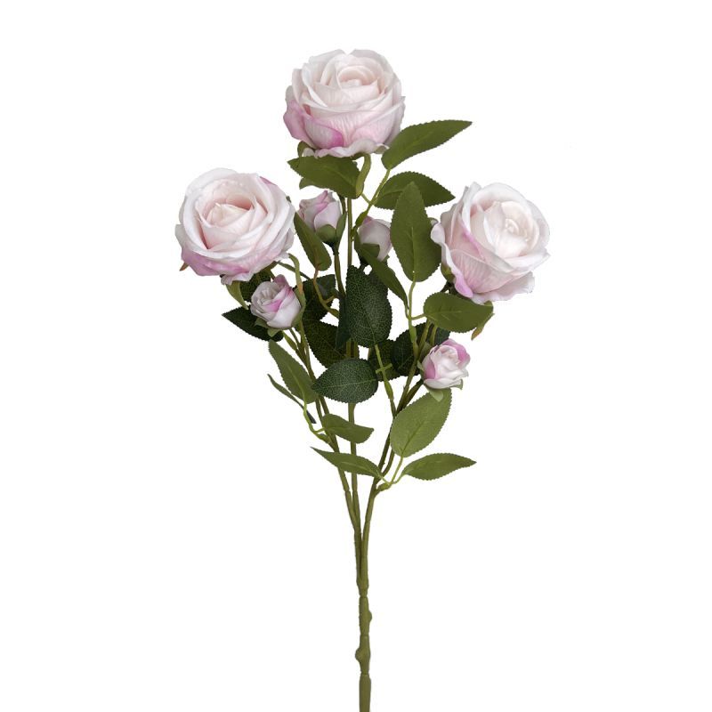 49ch rose stem