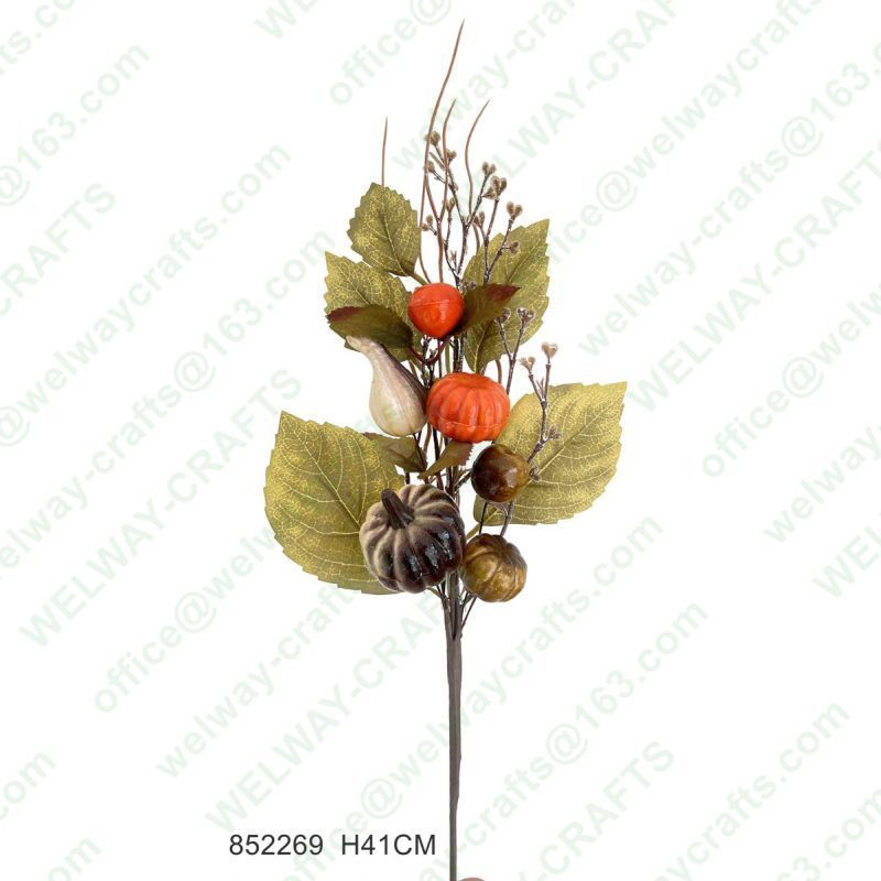 41cm autumn pick