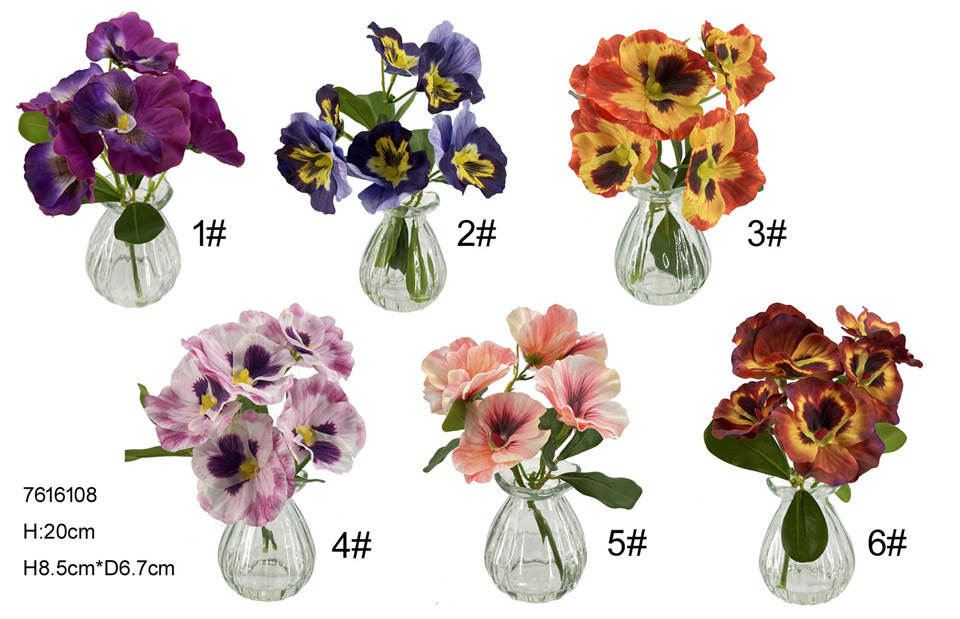 20cm pansy in glass vase