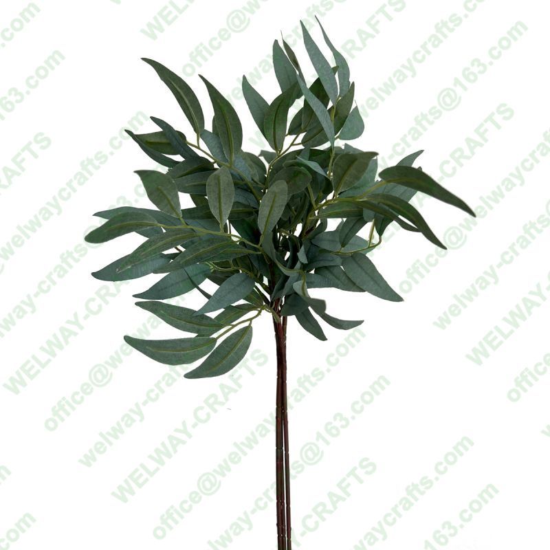 41cm eucalyptus saligna bush