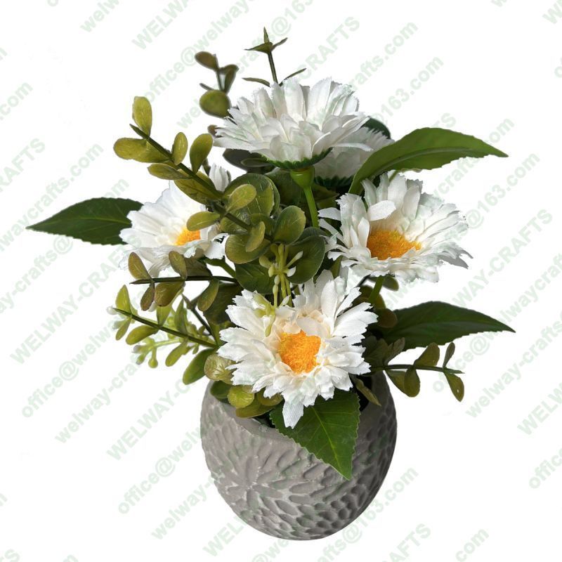 20cm daisy with cement pot