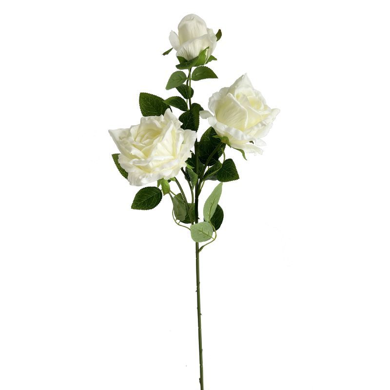 75cm rose stem