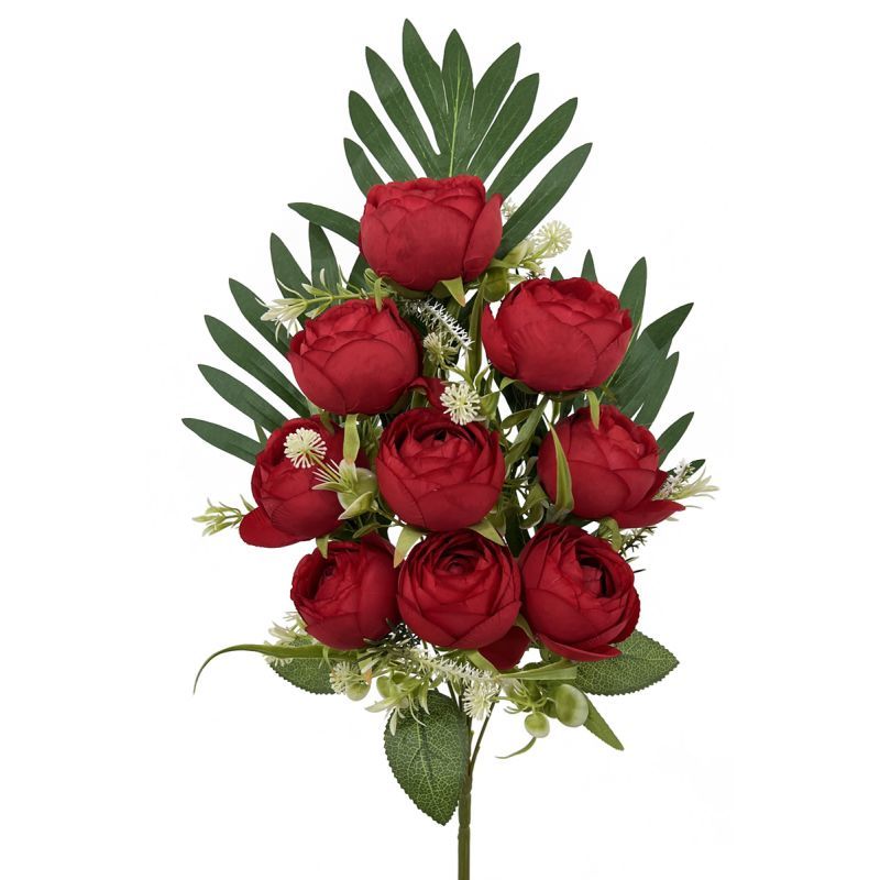 50cm rose bush