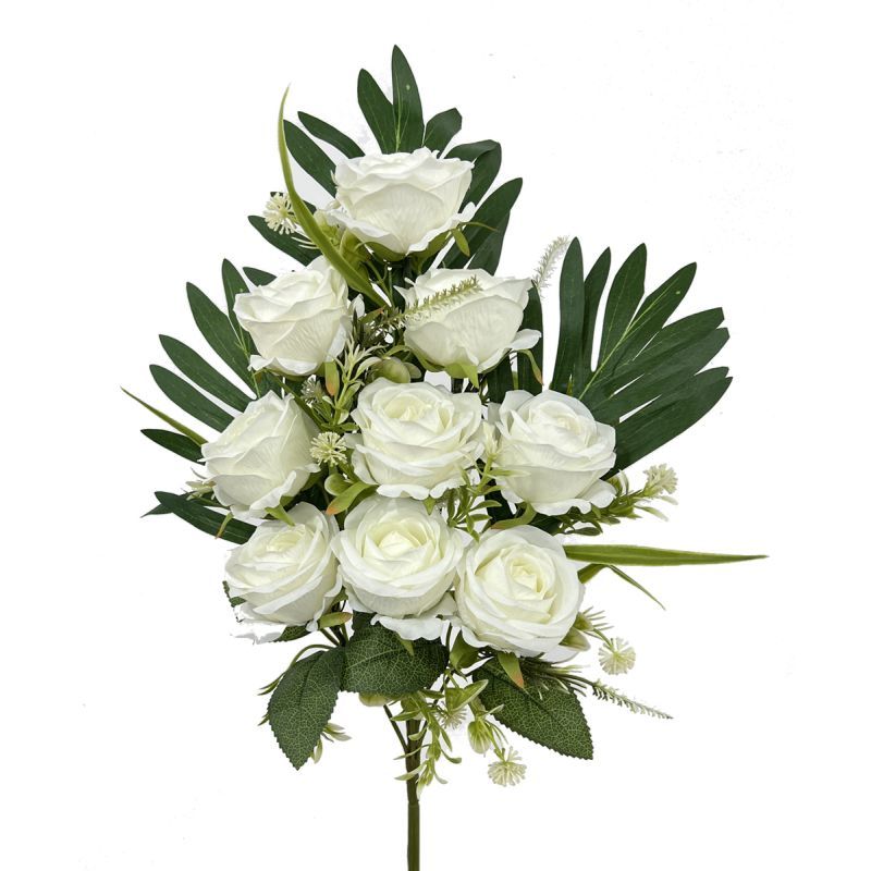 50cm rose bush