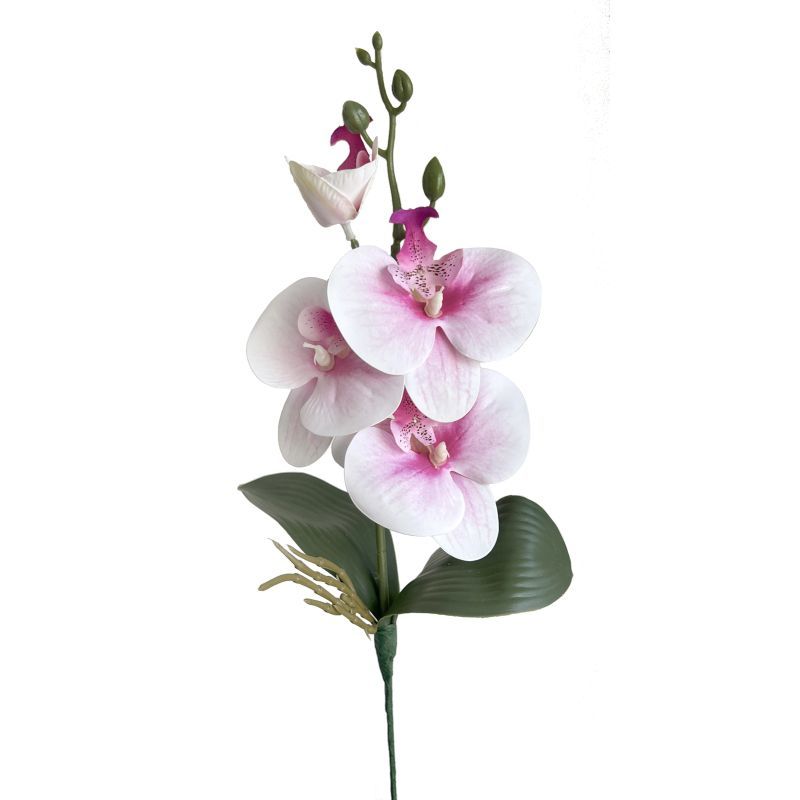 37CM orchid stem