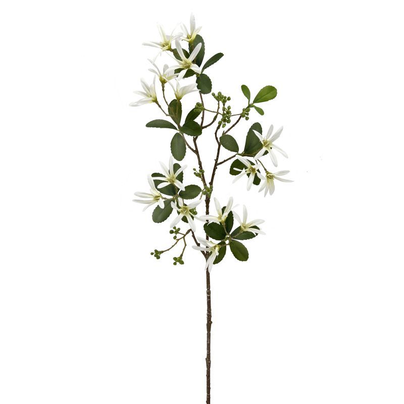 80cm Petrea volubilis stem
