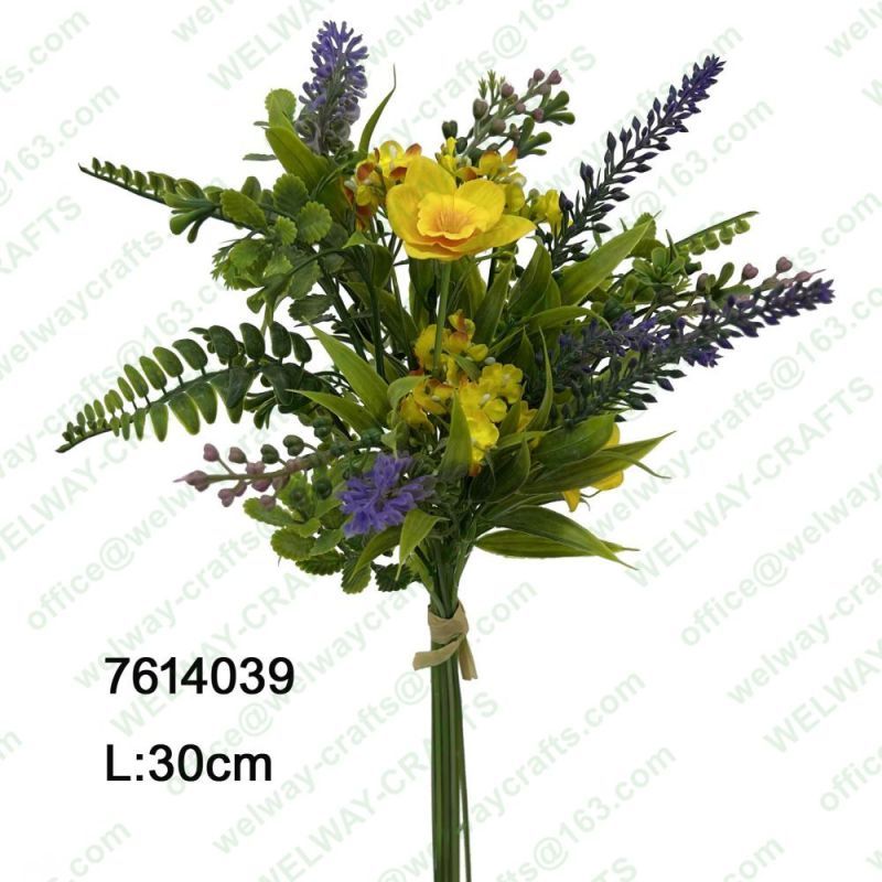 30cm lavender bush