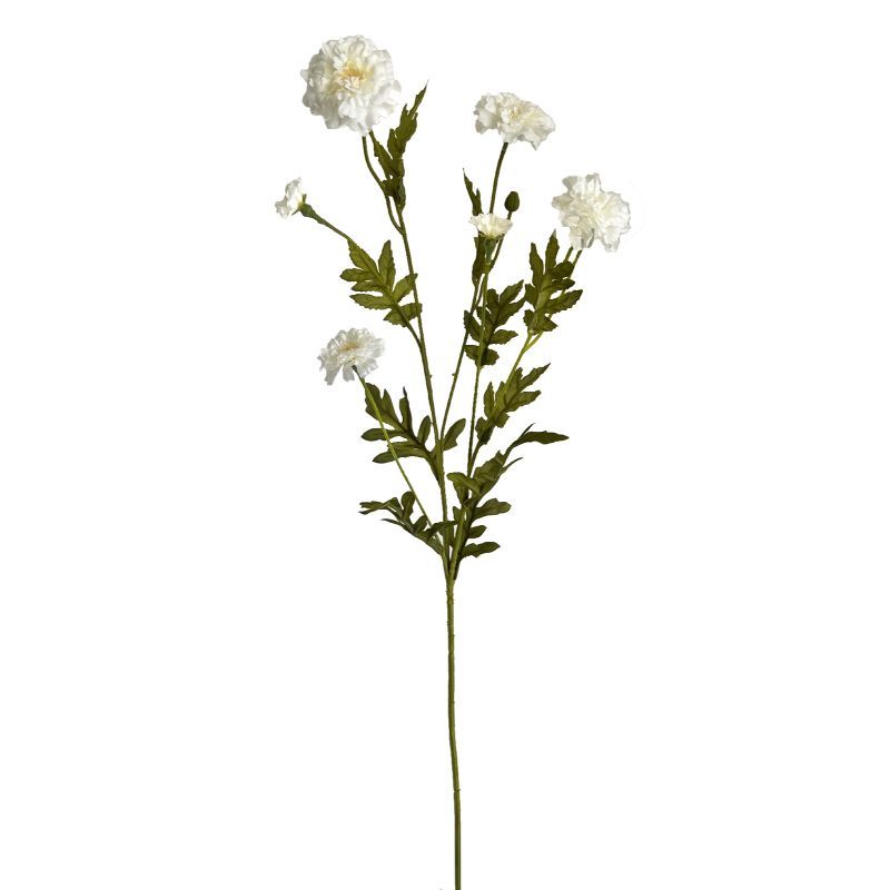 81cm stem