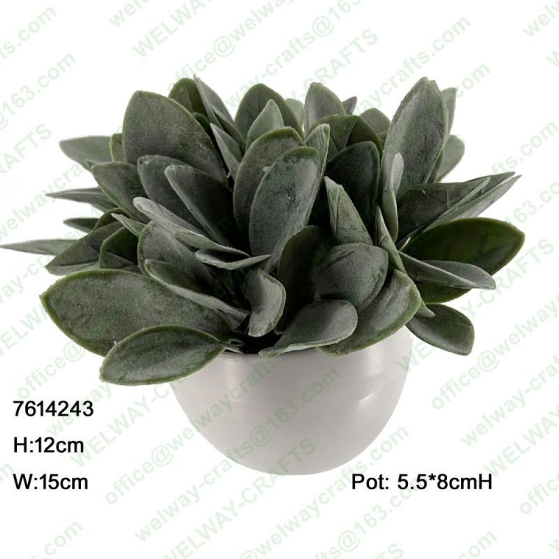12*15cm greenery pot