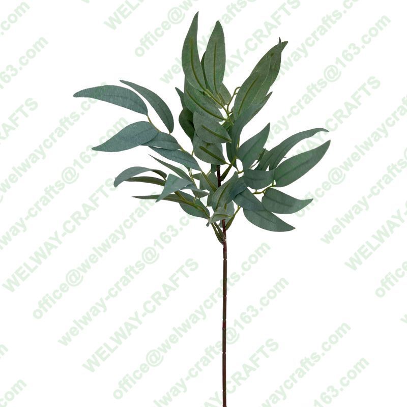 41cm eucalyptus saligna stem