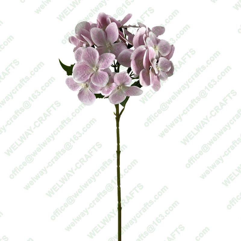 45cm orchid with leaves 2 branches