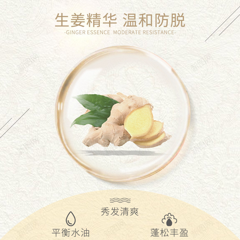 生姜防脫育發洗發水洗頭膏控油去屑增發密發強韌發根發膜廠家