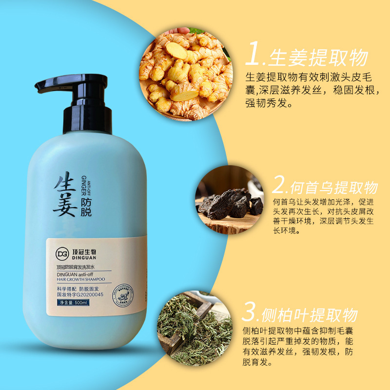 生姜防脫育發洗發水洗頭膏控油去屑增發密發強韌發根發膜廠家